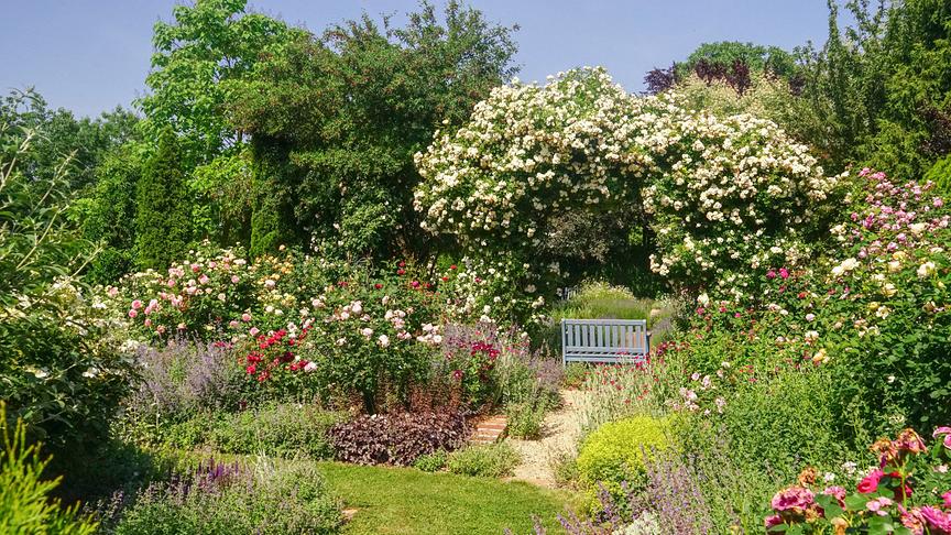 Im Bild: Burgenland: Gastgarten von Maria Sommeregger in Güssing.
