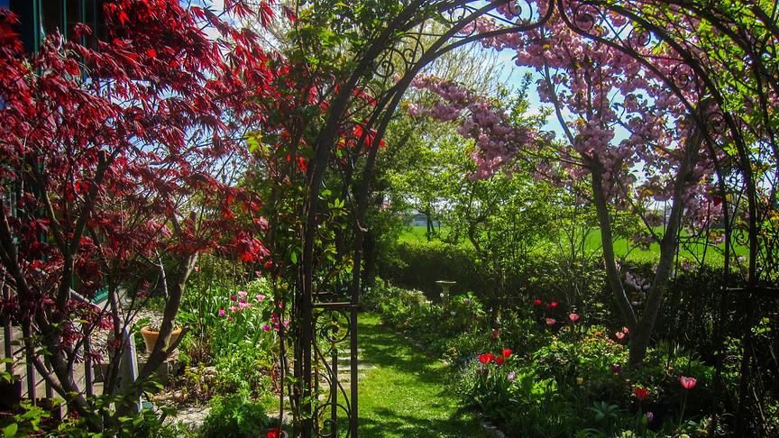 Im Bild: Oberösterreich: Gastgarten von Magdalena Brückl in Sattledt in Oberösterreich.