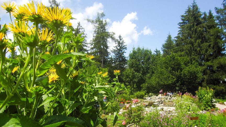 Im Bild: Tirol: Im Hildegard-Garten von Katharina Hechenberger in Reith im Alpbachtal.