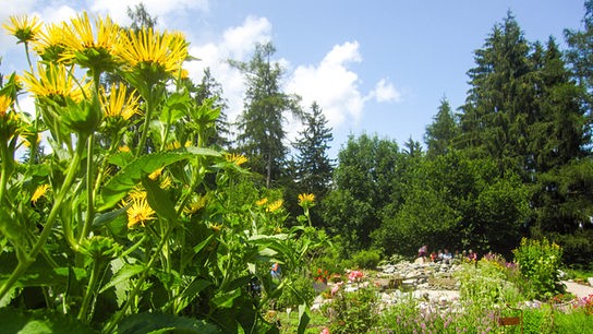 © ORF/Talk TV/Natur im Garten/Leopold Mayrhofer Im Bild: Tirol: Im Hildegard-Garten von Katharina Hechenberger in Reith im Alpbachtal.