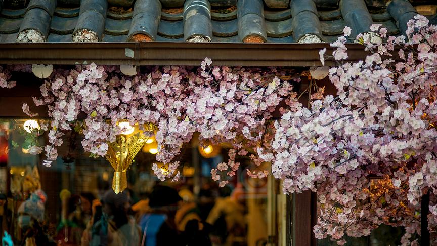 © Foto: Unsplash Ein Ladeneingang in Japan mit traditionellen dunklen Dachziegeln, der üppig mit rosa Kirschblüten geschmückt ist. Im Hintergrund ist das warme Licht des Geschäftsinneren und die Silhouette eines goldenen Ornaments zu sehen.