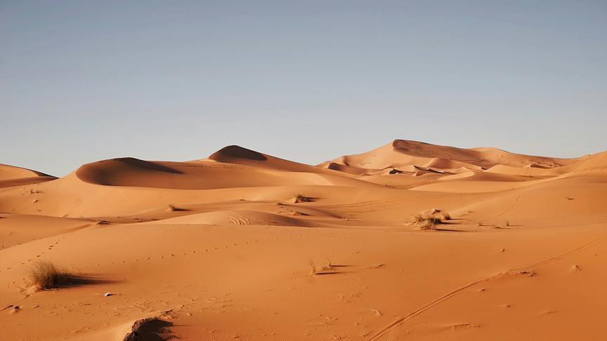 Weite Sanddünen in der Sahara bei Sonnenaufgang.
