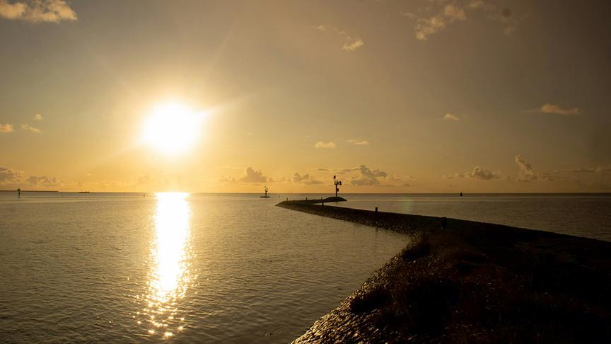 Als Wattenmeer (das "watend begehbare Meer") bezeichnet man einen weitläufigen Küstenstreifen, der unter starkem Einfluss der Gezeiten steht. Das Watt ist der Meeresboden des Küstenraums, der im Wandel von Ebbe und Flut täglich zweimal vom Meer überspült wird und dann wieder trockenfällt.