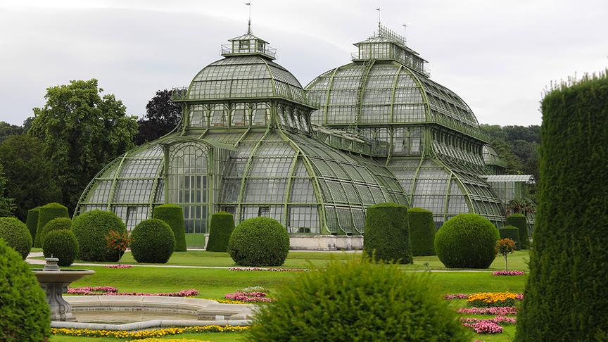 Das Palmenhaus im Schlosspark von Schönbrunn ist mit einer Gesamtfläche von 2.500m² eines der größten seiner Art. Es beherbergt zahlreiche mediterrane, tropische und subtropische Pflanzen.