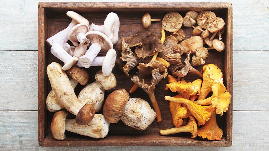 © Foto: Colourbox Holzkiste mit Pilzen