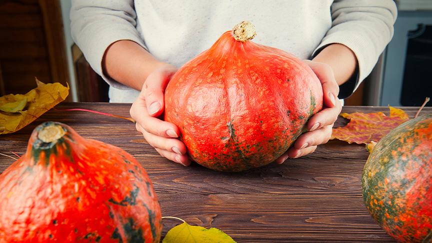 © Foto: Colourbox Eine Person hält einen Kürbis. Daneben weitere Kürbisse und herbstliche Blätter.