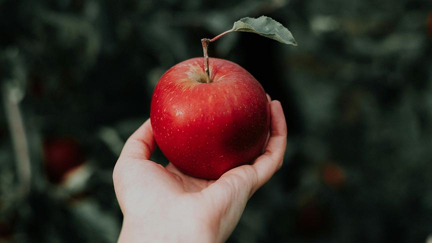 © Foto: Unsplash/ Priscilla du Preez Eine Hand hält einen roten Apfel.
