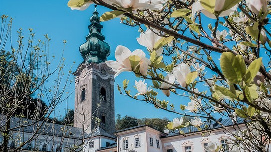 Stiftskirche St. Peter in Salzburg