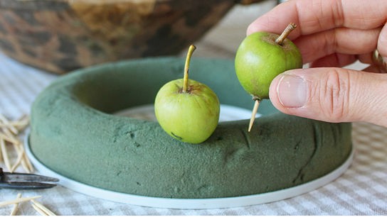 Steckring, inden gerade kleine Äpfel gesteckt werden.
