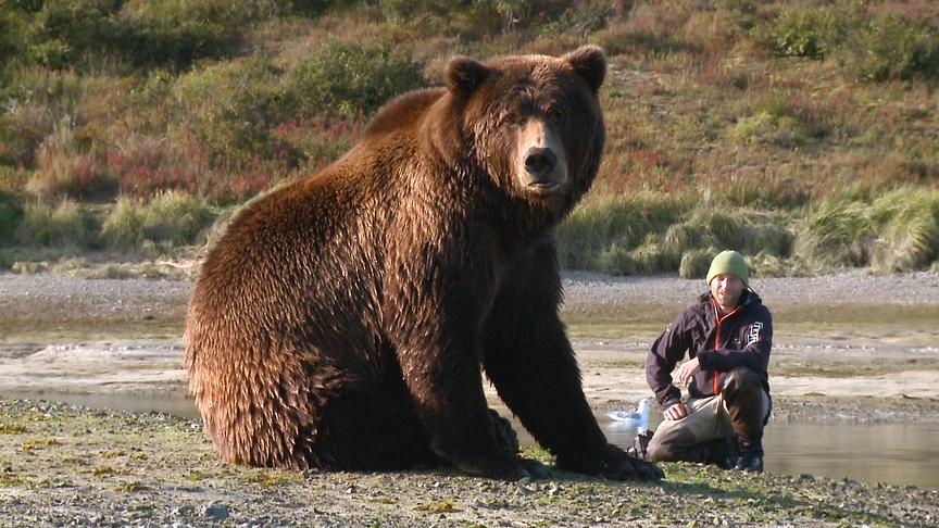 © Pandafilmverleih Der Bär in mir