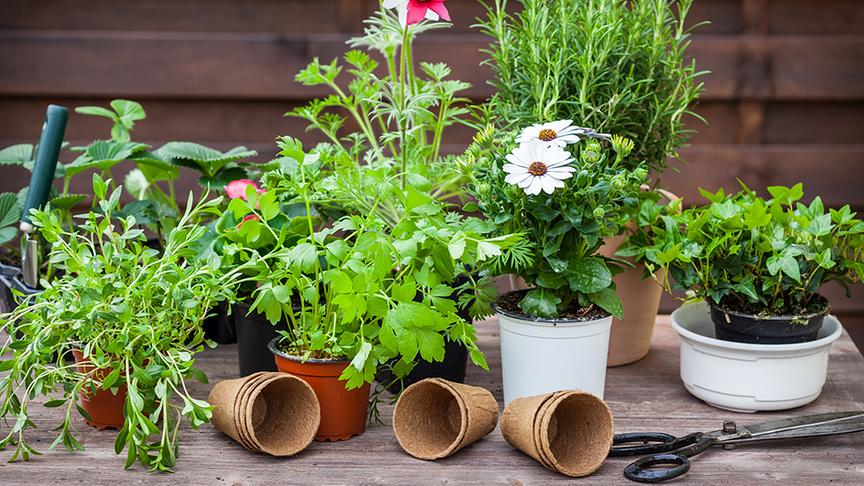 Startseite - extra.ORF.at