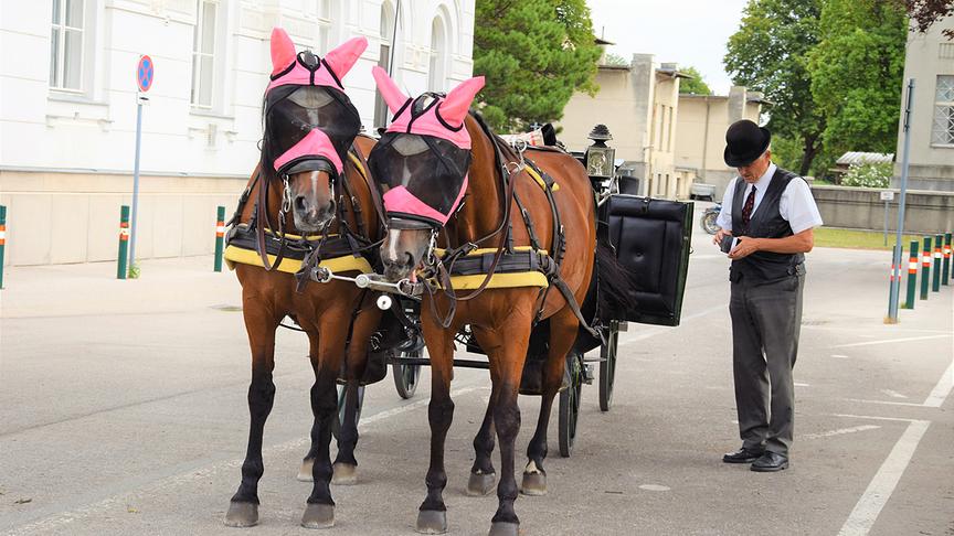 Wer möchte, kann den Zentralfriedhof auch von der Kutsche aus besichtigen.