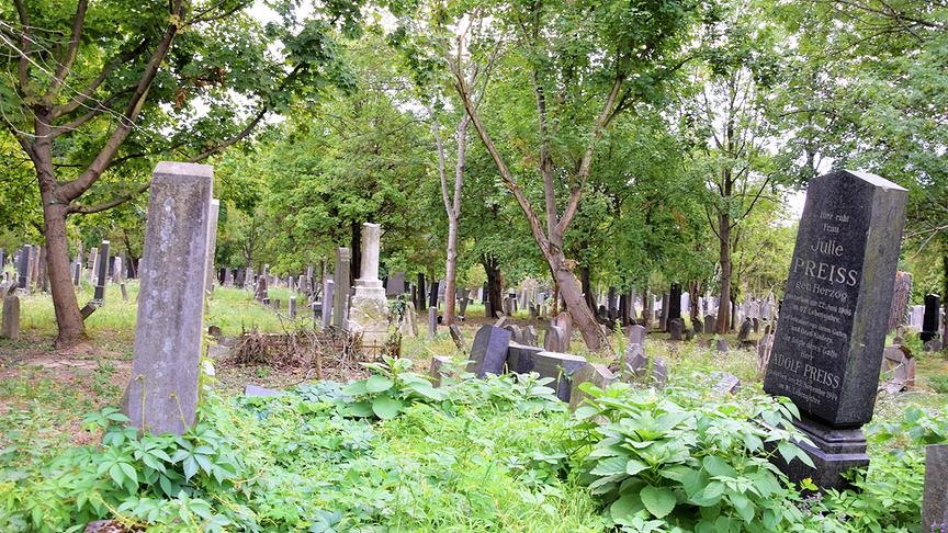 Der jüdische Friedhof.