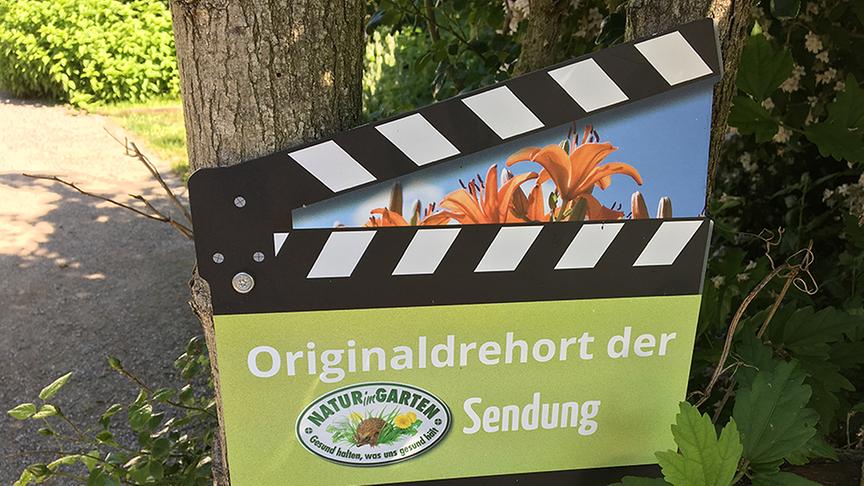 Eindrücke von der GARTEN TULLN.