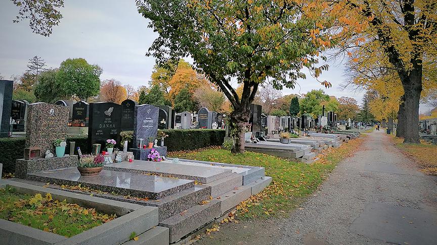 © ORF extra/ Heidi Simbürger