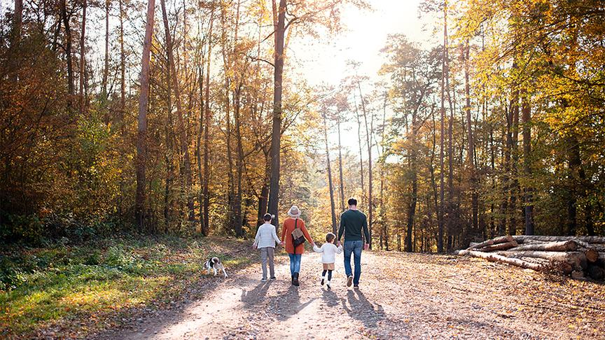 Eine Familie beim Waldspaziergang