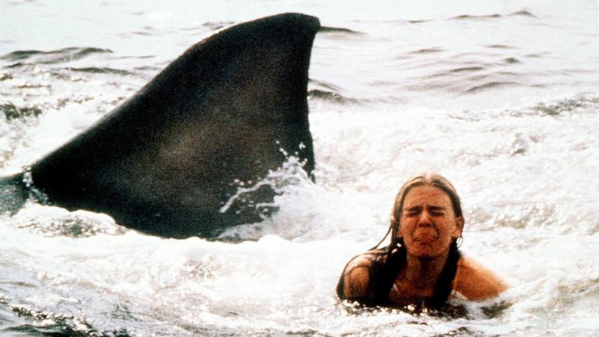 Eine verängstigte Frau im Wasser, neben ihr ragt eine große Haiflosse empor