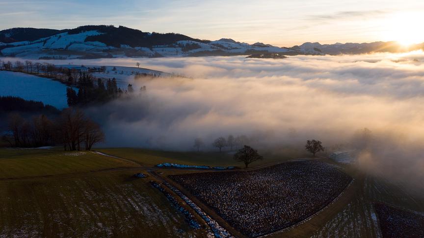 Im Bild: Im Herbst und Winter legt sich der Hochnebel über das Mostviertel. Entlang dieser Nebelgrenze entstehen zauberhafte Stimmungen.