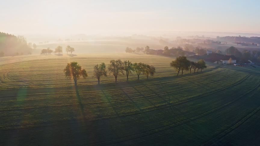 Im Bild: Sanfte Hügel, Nebel und blühende Obstbäume. So zeigt sich das malerische Mostviertel.