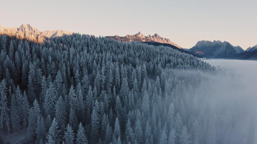 Im Bild: An manchen Tagen, wenn die Konstellation aus Temperatur und Luftfeuchtigkeit günstig zueinander stehen, legt sich sich Raureif über das Alpenvorland. Ein kurzweiliges Märchenland ist die Folge.