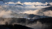 Im Bild: Letzte morgendliche Nebelschwaden lösen sich über dem Mostviertel auf.