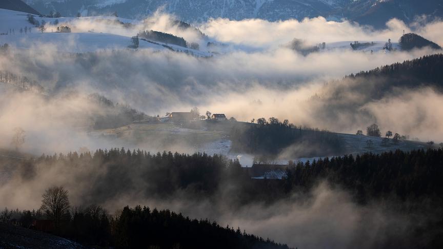 Im Bild: Letzte morgendliche Nebelschwaden lösen sich über dem Mostviertel auf.