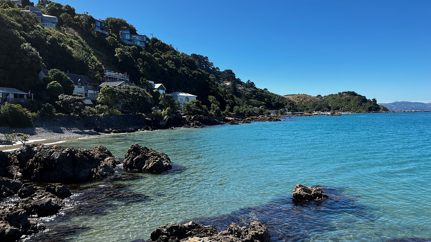 Himmlischer Tag auf der anderen Seite der Welt - Wellington - Neuseeland. (Lisa Bayrhofer)