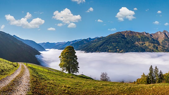 © Foto: Colourbox Wanderweg mit Nebel-Panorama