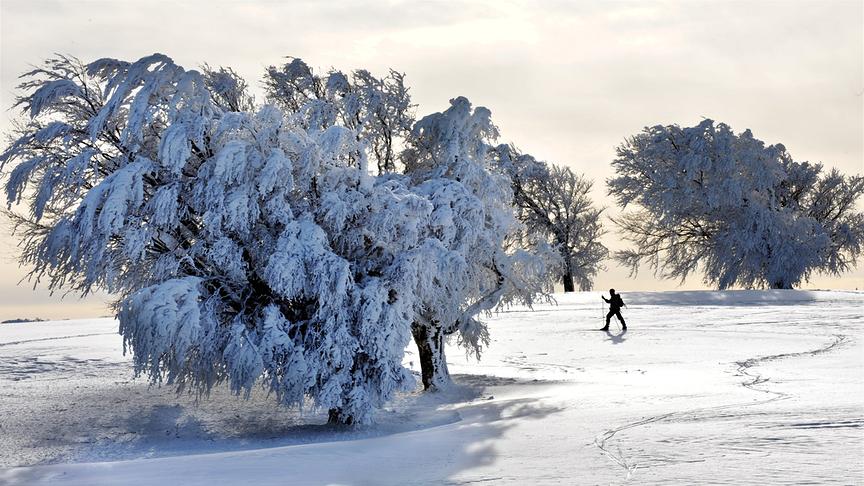 © dpa/Rolf Haid Winterlandschaft