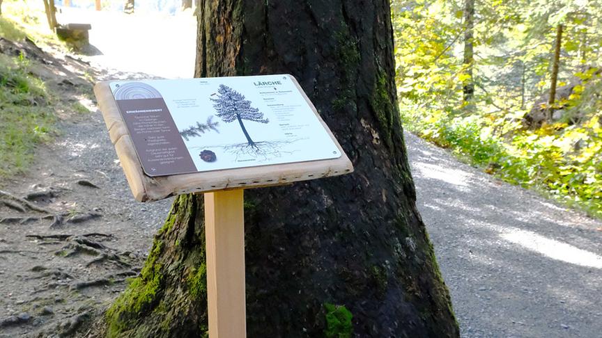 © proHolz Salzburg Wald Wild Holz Eröffnung