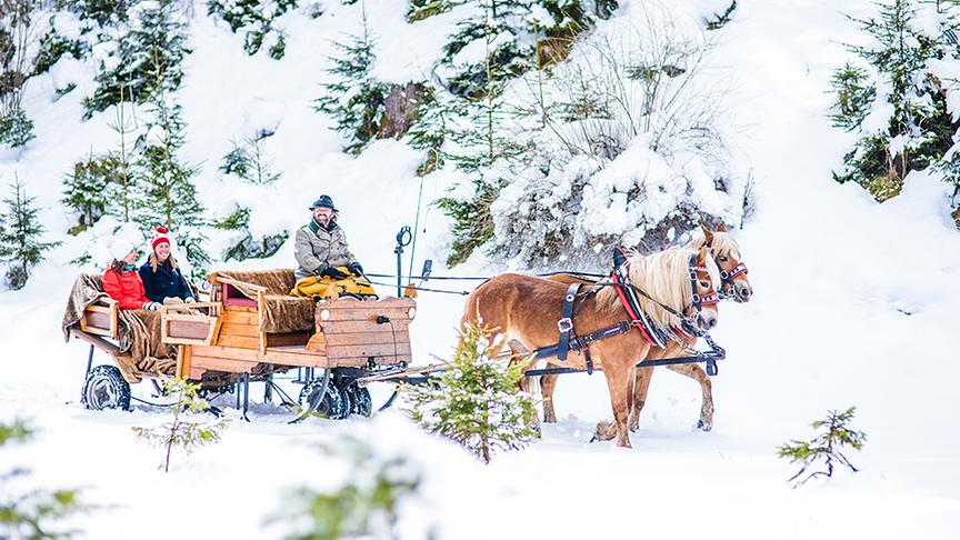 © Foto: Altenmarkt-Zauchensee Tourismus/Nadia Jabli Photography Pferdeschlittenfahren in Altenmarkt-Zauchensee