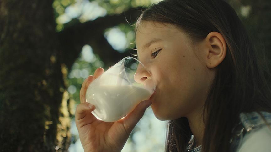© Foto: SalzburgMilch Genießen mit SalzburgMilch