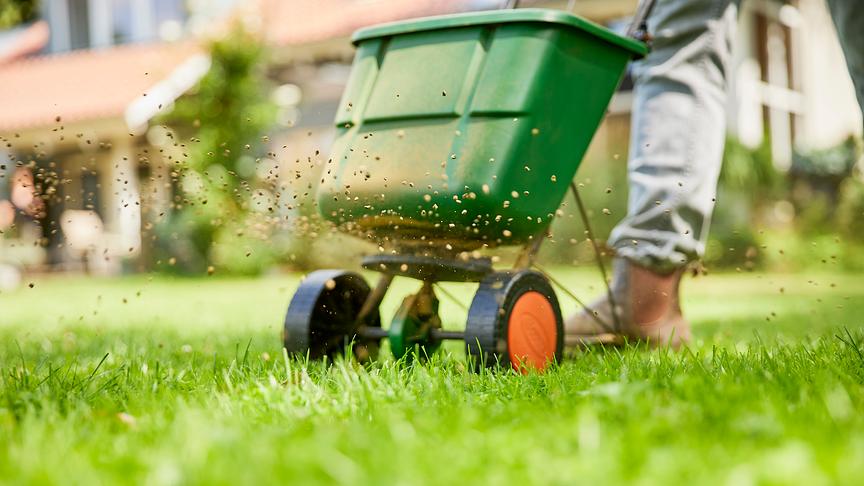 Für einen gesunden und kräftigen Rasen: Die richtige Düngung im Frühling.