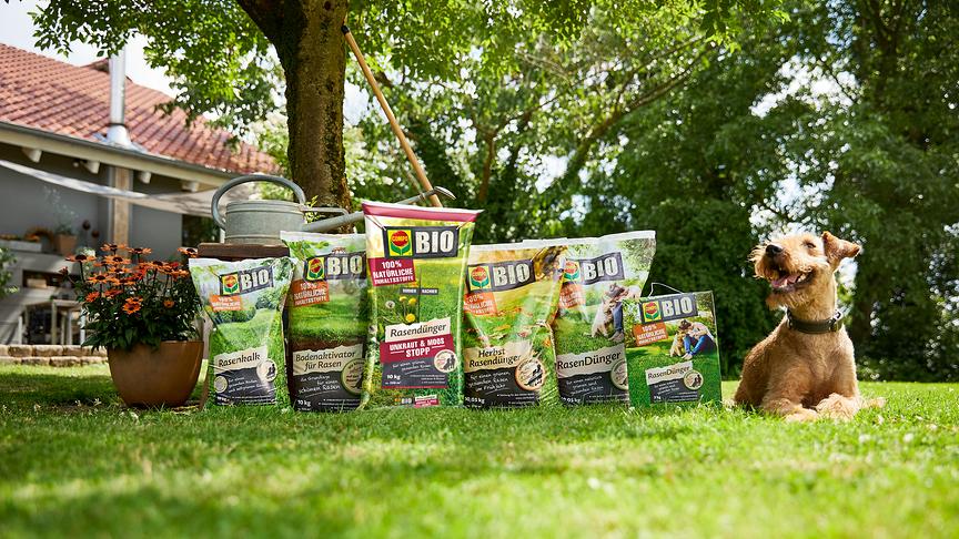 Die richtige Rasenpflege mit COMPO Produkten.