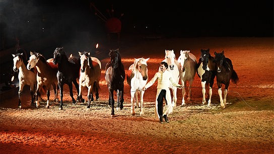 © Foto: mondwind.com Ausschnitt aus der Pferdeshow "Mondwind"