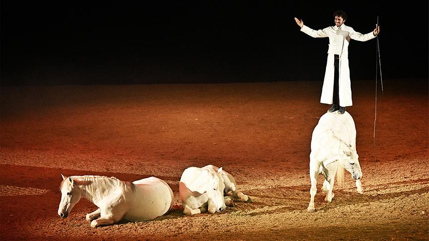 © Foto: mondwind.com Ausschnitt aus der Pferdeshow "Mondwind"