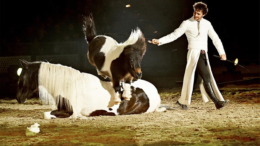 © Foto: mondwind.com Ausschnitt aus der Pferdeshow "Mondwind"