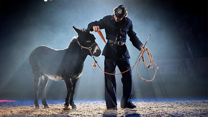 © Foto: mondwind.com Ausschnitt aus der Pferdeshow "Mondwind"