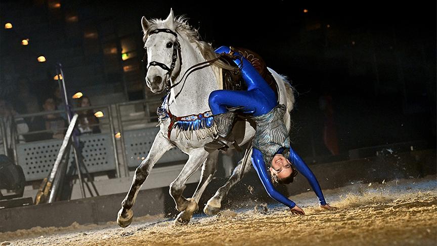 © Foto: mondwind.com Ausschnitt aus der Pferdeshow "Mondwind"