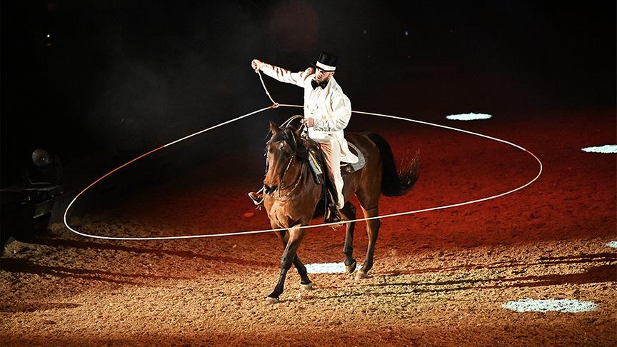 © Foto: mondwind.com Ausschnitt aus der Pferdeshow "Mondwind"