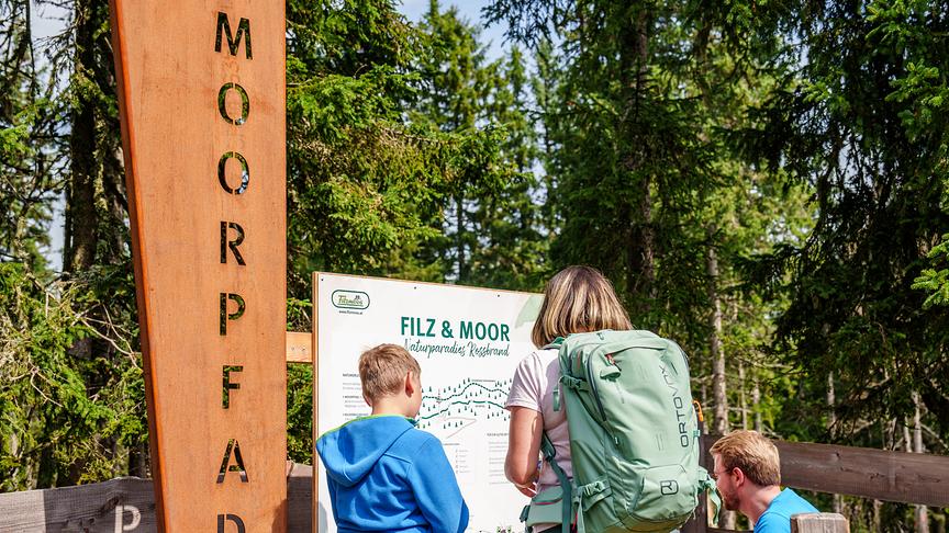 © Gerald Oberreiter Filz und Moor