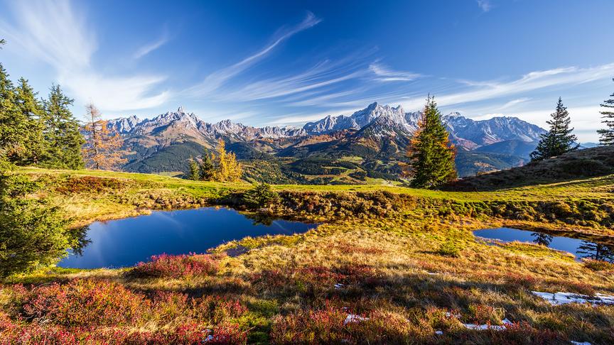 © © Coen Weesjes Hochmoor am Rossbrand
