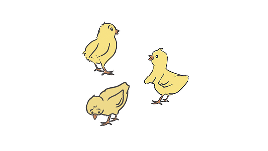 Gezeichnete kleine Küken