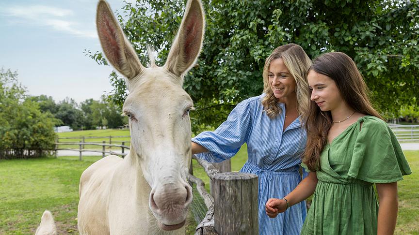 Erlebnis Schloss Hof