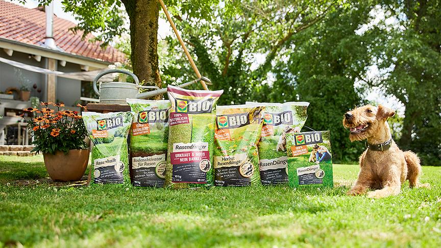 Rasenpflege mit COMPO