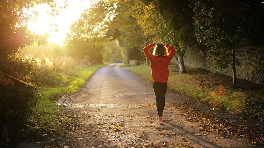 © emma simpson/unsplash Motivbild- Herbst, Outdoor emma simpson/unsplash
