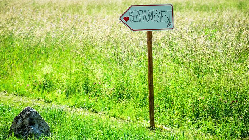 Die Paare werden zum Beziehungstest geschickt.