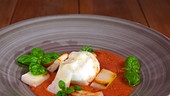 Gazpacho Andaluz mit Croûtons und gegrilltem Mozzarella