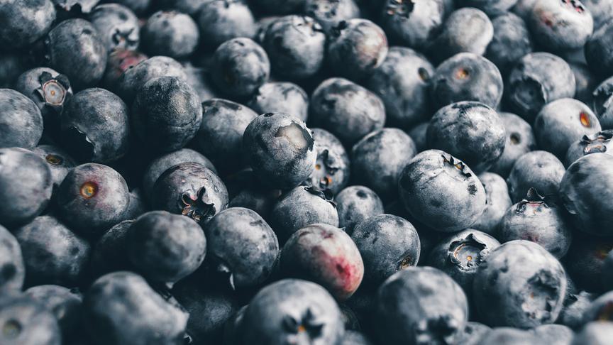 Heidelbeeren