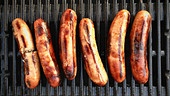 Surf & Turf auf der Wiesn Weißwurst, Garnele, Champagnerkraut und Senfsauce